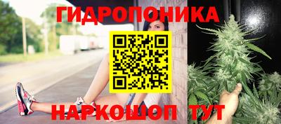 индика Гатчина