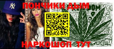 индика Гатчина