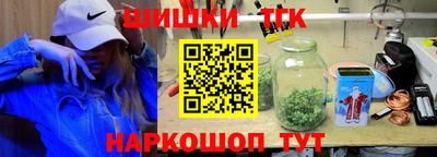 индика Гатчина