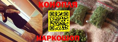 индика Гатчина