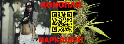 индика Гатчина
