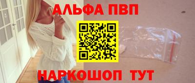 индика Гатчина