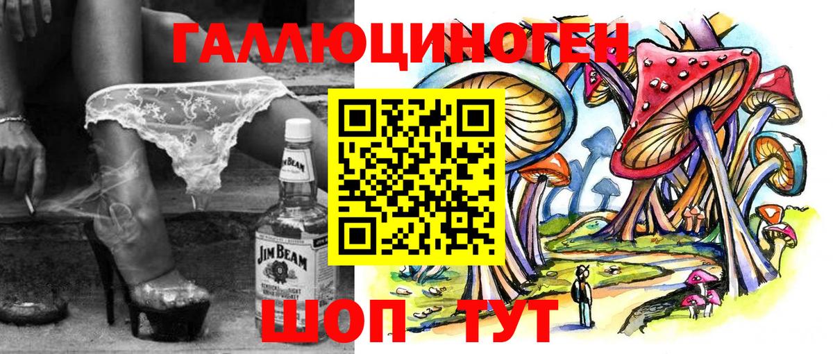 Энгельс  Псилоцибиновые грибы Psilocybine cubensis  Вход с VPN 