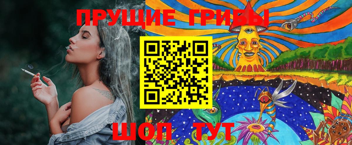 Галлюциногенные грибы Cubensis Энгельс